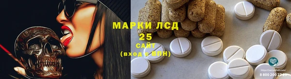 PSILOCYBIN Няндома