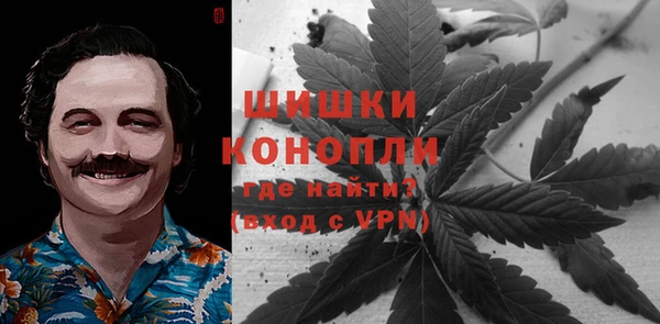 прущие грибы Абдулино