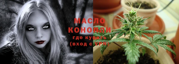 PSILOCYBIN Няндома