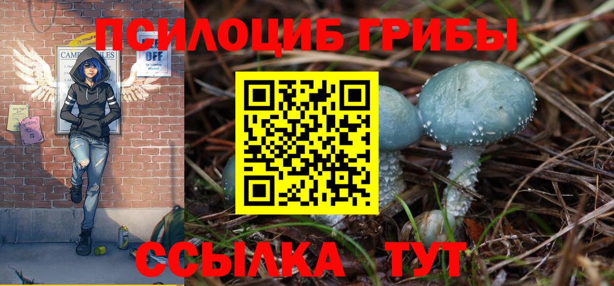 Иркутск  Псилоцибиновые грибы GOLDEN TEACHER  Вход с VPN 