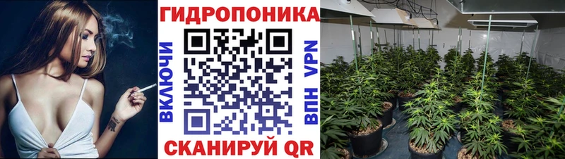 Бошки марихуана индика  blacksprut как зайти  Иркутск  наркошоп 